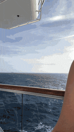 c8c2c58ca19156b4a11d97375c03bb14.gif
