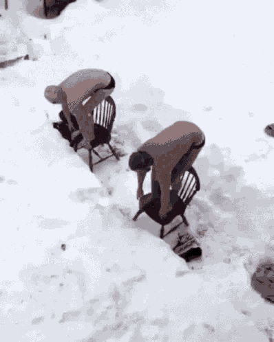 cold-swim.gif