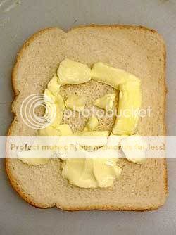 butterface.jpg