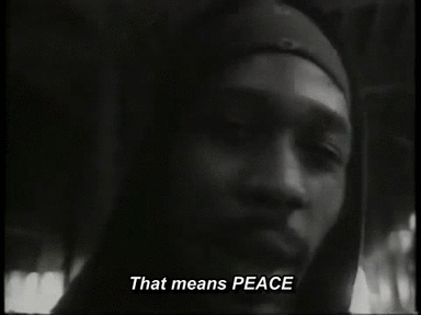 tumblr_n125pbuhi71s1rcuqo1_400.gif
