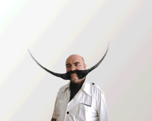 tumblr_lhwd4oQa9V1qhajmxo1_500.gif