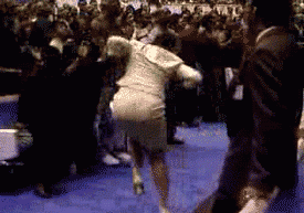 tumblr_inline_mx9hp2wyd91rima5v.gif