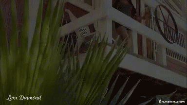 giphy.gif