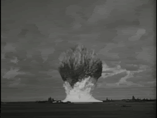 MovedPics242-1.gif