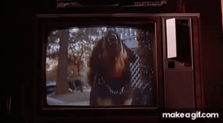 Fm82wt.gif
