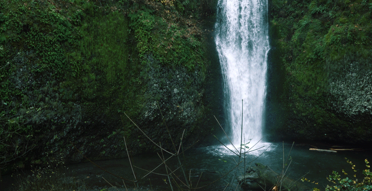 tumblr_oh2ahdiihX1qkprgpo3_1280.gif