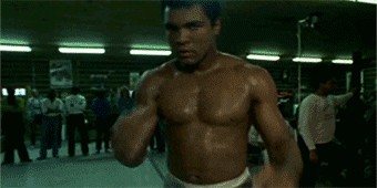 tumblr_o376ctefzg1v1z098o1_400.gif
