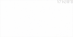 tumblr_n46zm3JqoS1slwghpo9_250.gif