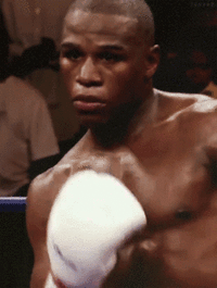 94b3f4f4ef031a4c09939c42e7e96558_w200.gif