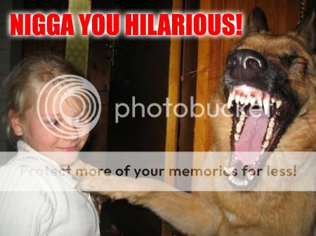 hilarious-1.jpg