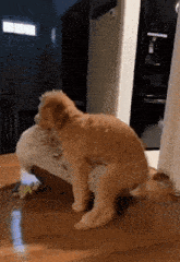 horndog.gif