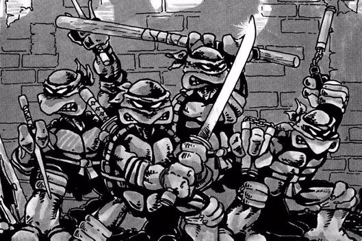 06-tmnt.w529.h352.jpg