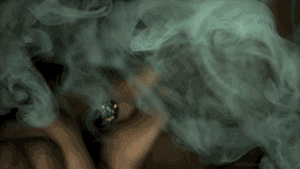 tumblr_ln7275XyKq1qkw5qlo1_400.gif