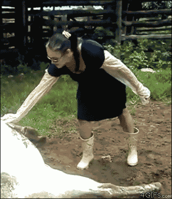 Woman-pets-cow.gif