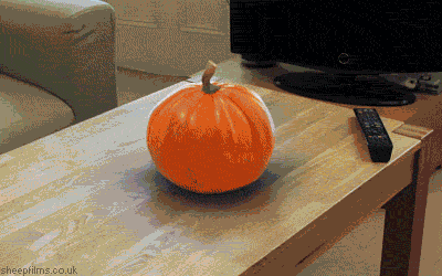 tumblr_ndt76y4z6Y1qhnszoo1_400.gif