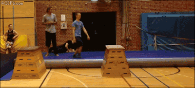 tumblr_n3x98gQqgO1r3gb3zo1_400.gif
