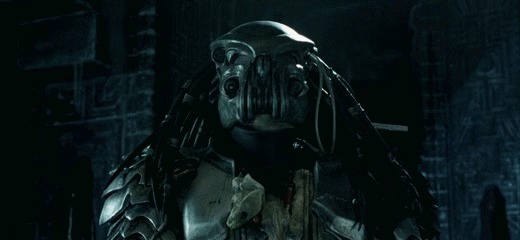 074d60cff9c3399a6957b3df20df6c73.gif