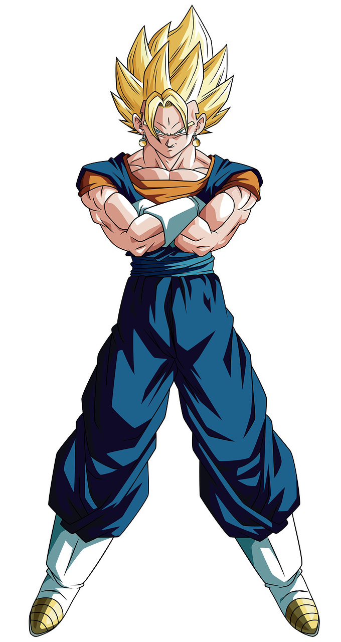 vegeta-5675018_1280.png
