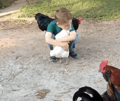 200.gif