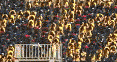 tumblr_nmxnrp3nKn1tb8alro1_r1_250.gif