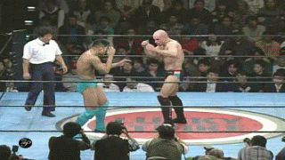 1.gif