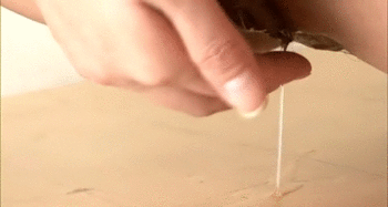 tumblr_nebshglKf51scqca7o2_400.gif