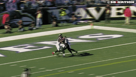 nfl-steve-smith.gif