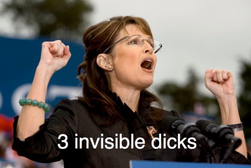 Palin-3-invisible-dicks.jpg