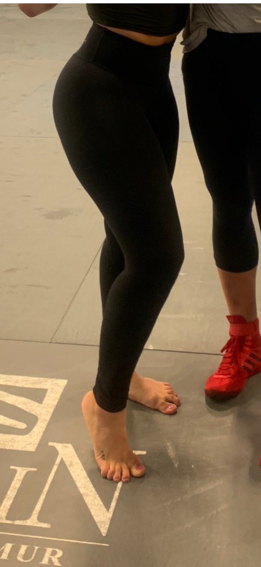 cropped1544948099540150146.jpg