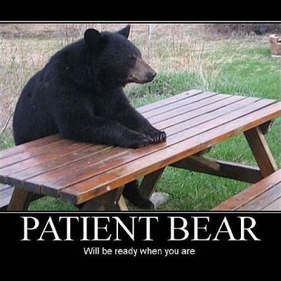 Patient_Bear_400x400.JPG