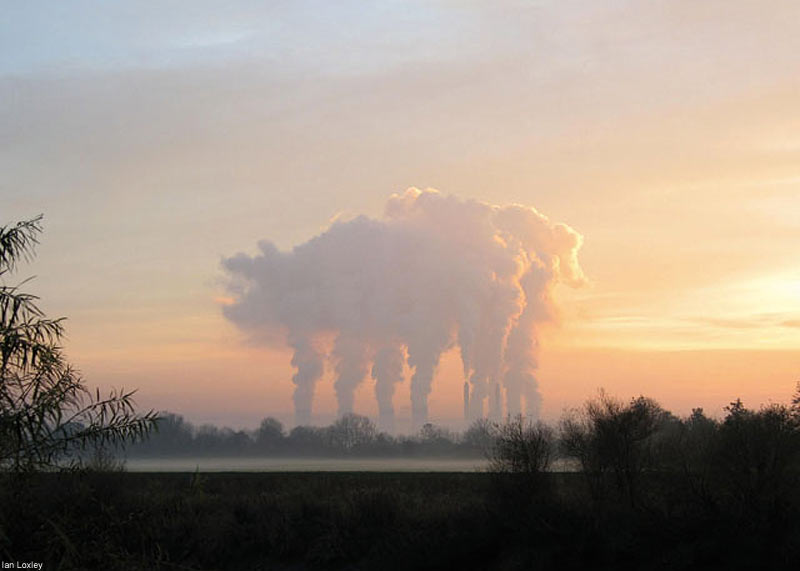 skypig1109_800x571.jpg