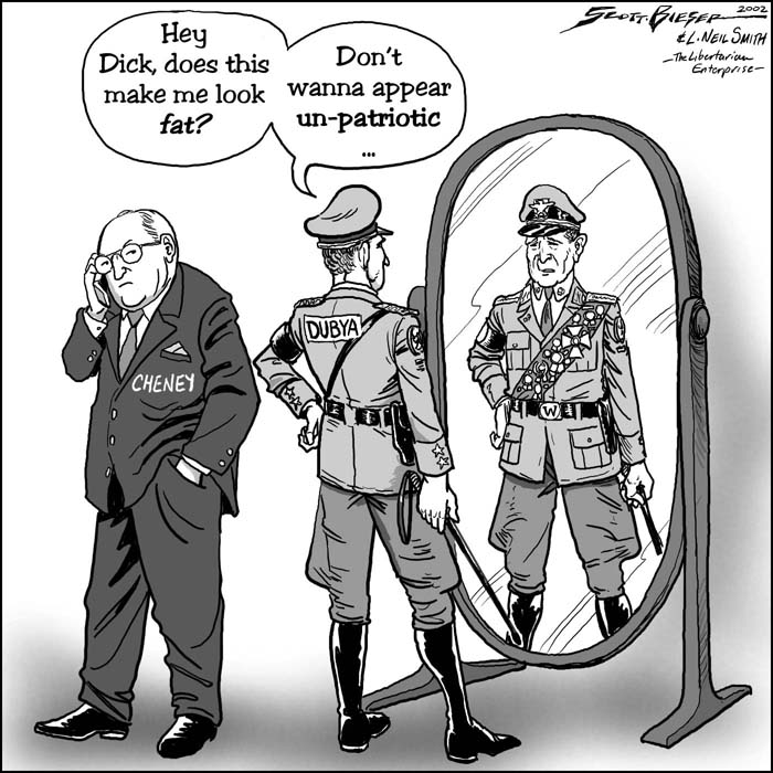 Looking-fat700.jpg