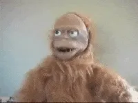 monkey-puppet-roll-eyes-glaring-6xnueyfd9smzw7gu.webp