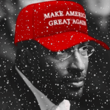 van-jones-with-a-maga-hat-on.gif