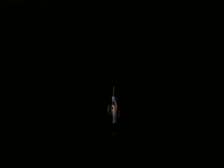 tumblr_njub5iJMLg1rkfsc1o1_400.gif