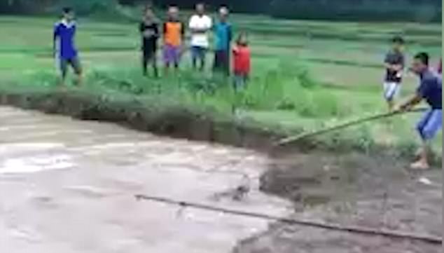 457CD17100000578-4996570-image-m-4_1508425363724.jpg