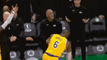 lebron-lebron-james.gif