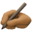 ✍