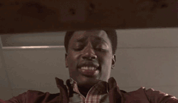 tumblr_mz2wa2GIXE1ql1i4jo1_250.gif