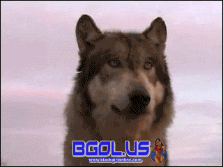 9h6i6g.gif