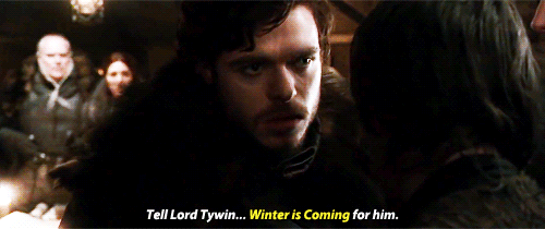 tumblr_o9fjklWb431rxpq74o7_r2_500.gif