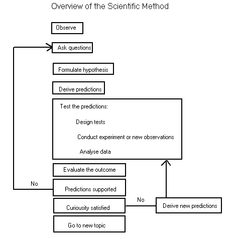 sciencemethod.gif