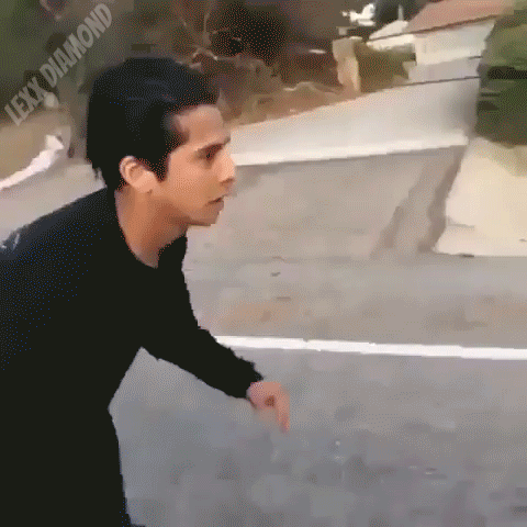 giphy.gif