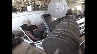 laIMA9.gif