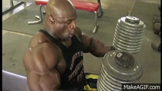 Fdvfs8.gif