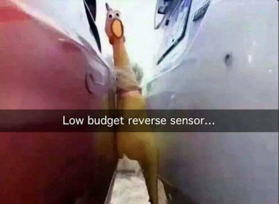 rubber-chicken-car-sensor.jpg