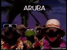 kokomo-muppets.gif