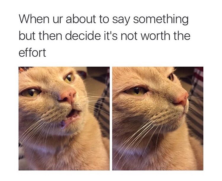 tumblr_o4cja4q39y1v9te2fo1_1280.jpg