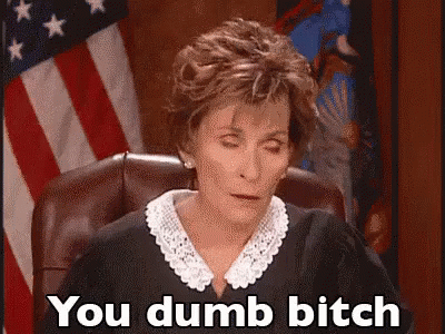 judgejudy-you-dumb-bitch.gif