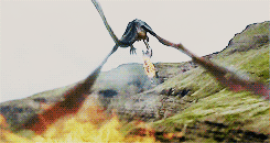 tumblr_n5g44jiJmz1sjo07yo4_250.gif